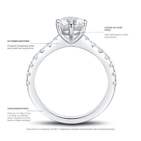 Agnes – Sidostensring med diamanter i 18k Vitguld - Bild 2