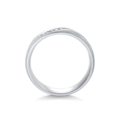 Anika – Slät ring i 950 Platina - Bild 2