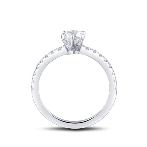 Catalina – Sidostensring med diamanter i 950 Platina - Bild 2