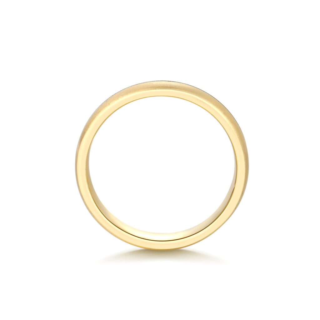 Francis – Flerfärgad Ring i 18k Gulguld