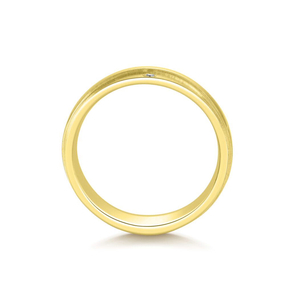 Shay – Slät ring i 14k Gulguld
